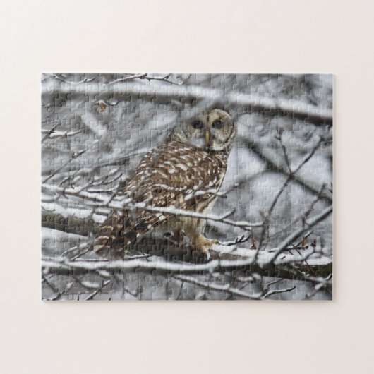 Barred Owl Legpuzzel (Horizontaal)