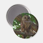 Barred Owl Magnet Magneet (Voorkant / Achterkant)