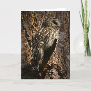 Barred Owl Maman Carte de remerciements