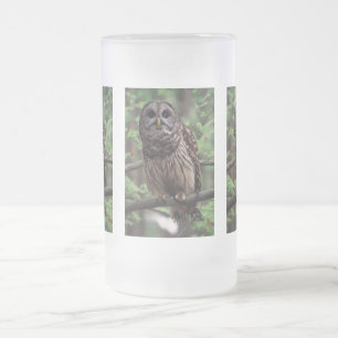 Barred Owl Matglas Bierpul