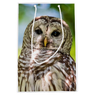 Barred Owl Medium Cadeauzakje