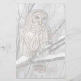 Barred Owl met lichte sneeuwval Briefpapier