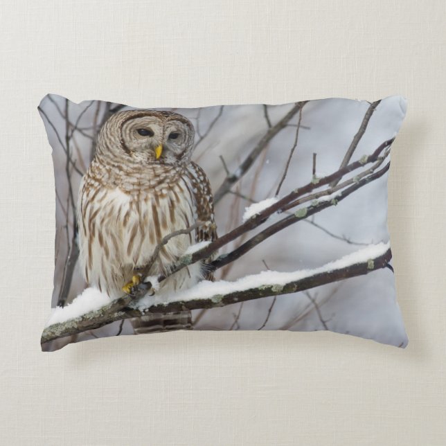 Barred Owl met lichte sneeuwval Decoratief Kussen (Voorkant)