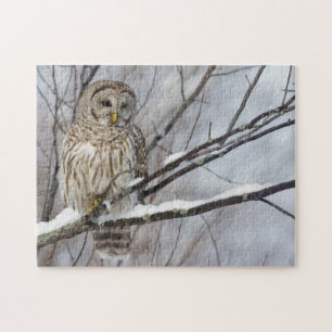 Barred Owl met lichte sneeuwval Legpuzzel