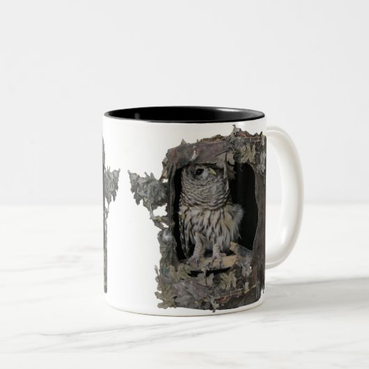 Barred Owl Mug - Vous regardez ! (Devant droit)