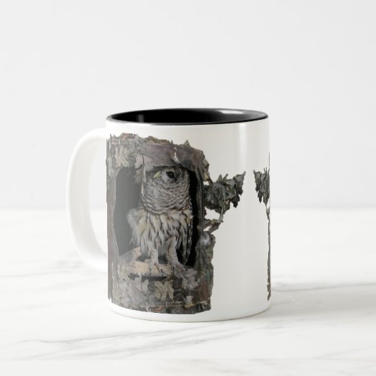 Barred Owl Mug - Vous regardez ! (Devant gauche)