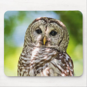 Barred Owl Muismat