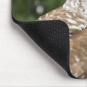 Barred Owl Muismat (Hoek)