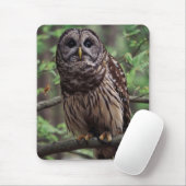Barred Owl Muismat (Met muis)