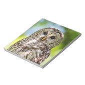 Barred Owl Notitieblok (Gedraaid)