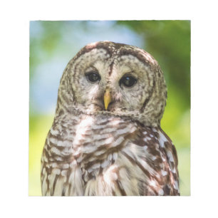 Barred Owl Notitieblok