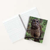 Barred Owl Notitieboek (Binnen)