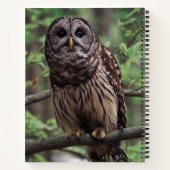 Barred Owl Notitieboek (Achterkant)