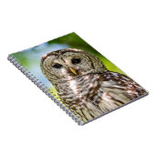 Barred Owl Notitieboek (Rechterzijde)