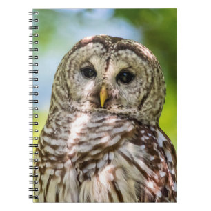 Barred Owl Notitieboek