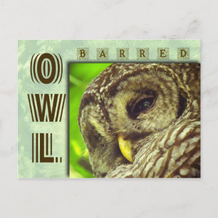 Barred Owl of Hoot Owl Briefkaart