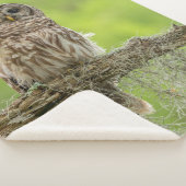 Barred Owl op boomarm Sherpa Deken (3/4)