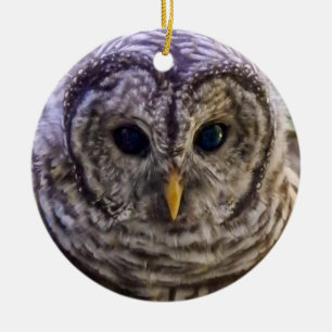 Barred Owl Ornament