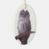 Barred Owl Ornament (Rechts)
