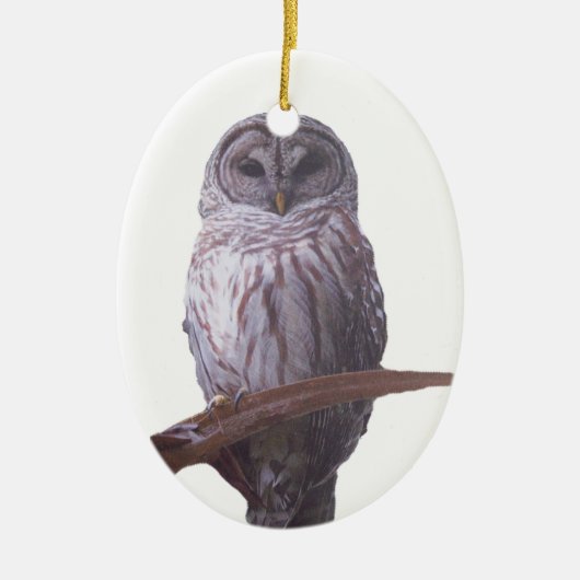 Barred Owl Ornament (Voorkant)