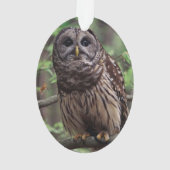 Barred Owl Ornament (achterkant)