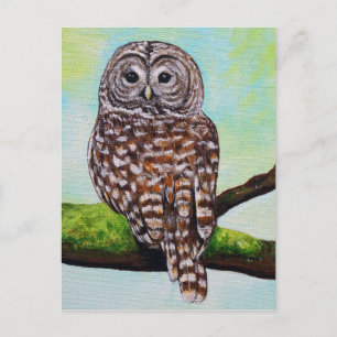 Barred Owl Painting Briefkaart