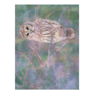 Barred Owl Pastel Digital Oilschilderij Perfect Poster