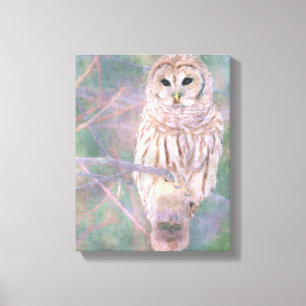 Barred Owl Pastel Oilschilderij Canvas Afdruk