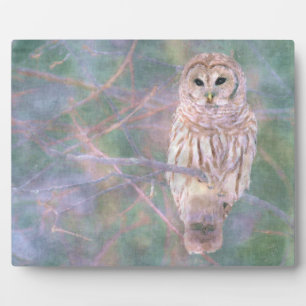 Barred Owl Pastel Oilschilderij Fotoplaat