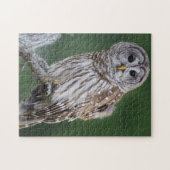 Barred Owl Perching Wildlife Puzzle Legpuzzel (Horizontaal)