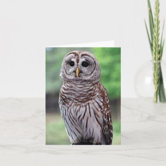 Barred Owl Photo Folded Note Kaart (Voorkant)