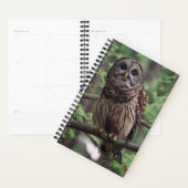 Barred Owl Planner (Display)