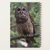 Barred Owl Planner (Achterkant)