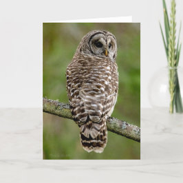 Barred Owl Portret Hartelijk dank Bedankkaart