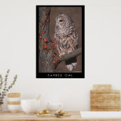 Barred Owl Poster (Keuken)