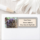 Barred Owl Return Address Labels (Insitu)