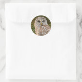 Barred Owl Ronde Sticker (Tas)