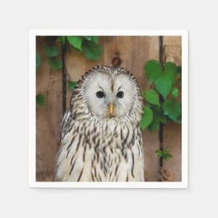 Barred Owl Servetten