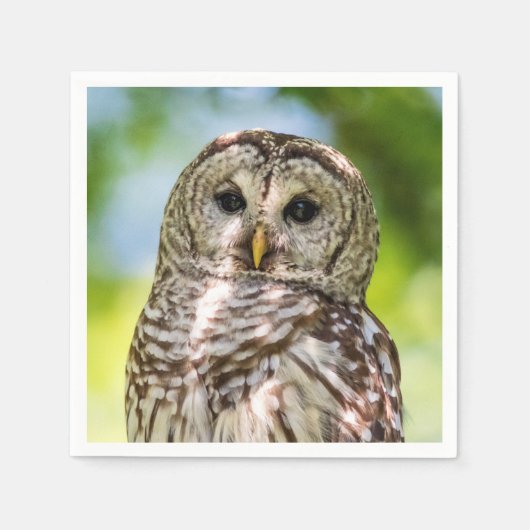 Barred Owl Servetten (Voorkant)