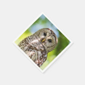 Barred Owl Servetten (Hoek)