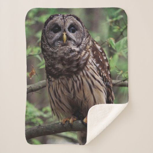 Barred Owl Sherpa Deken (Voorkant)