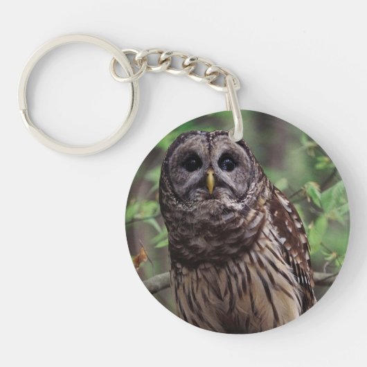 Barred Owl Sleutelhanger (Voorkant)