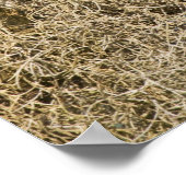 Barred Owl (Strix varia), doorboord in de cyperboo Poster (Hoek)