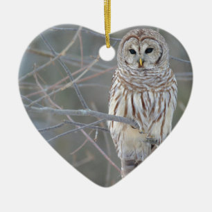 Barred Owl Strix Varia Keramisch Ornament