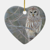 Barred Owl Strix Varia Keramisch Ornament (Achterkant)