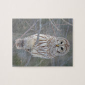 Barred Owl Strix Varia Legpuzzel (Horizontaal)