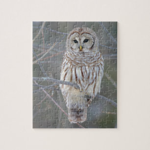 Barred Owl Strix Varia Legpuzzel