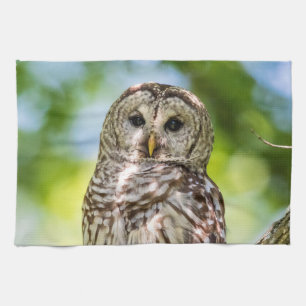 Barred Owl Theedoek