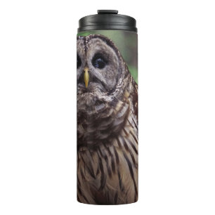 Barred Owl Thermosbeker