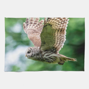 Barred Owl tijdens de vlucht Theedoek